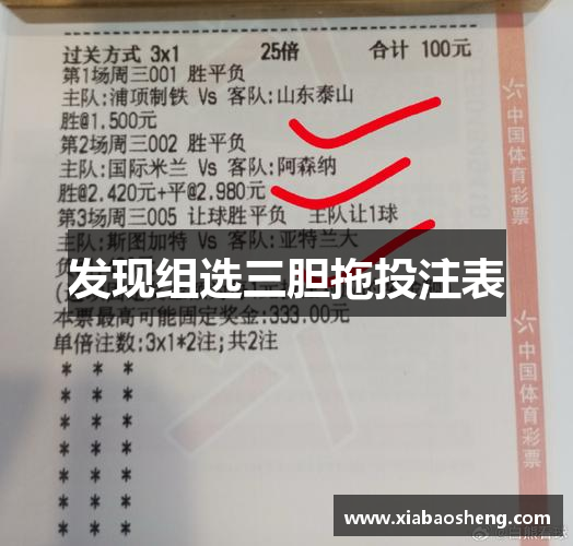 发现组选三胆拖投注表